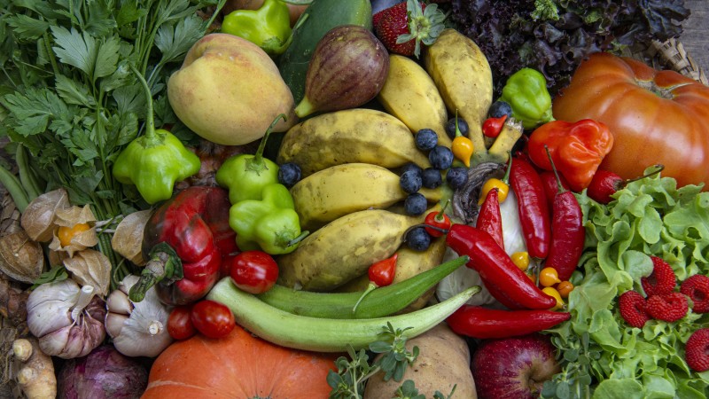 Selo busca promover a seguran&ccedil;a alimentar e nutricional, a sustentabilidade rural e o fomento ao setor produtivo de org&acirc;nicos