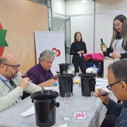 Os vinhos e os sucos são as categorias com mais agroindústrias inscritas para a disputa 