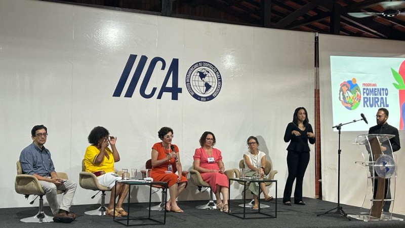 Atividade durante o painel “Atendimento a Povos e Entidades Tradicionais”.