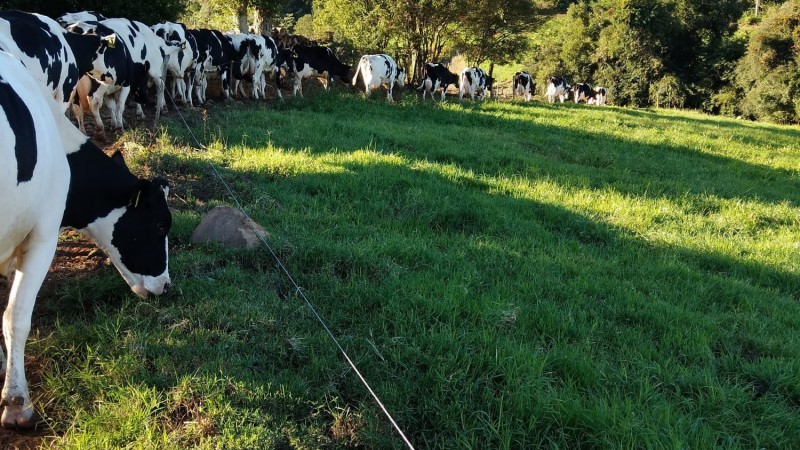 Projeto de Apoio é destinado aos produtores de leite que tiveram suas produções afetadas devido aos eventos climáticos