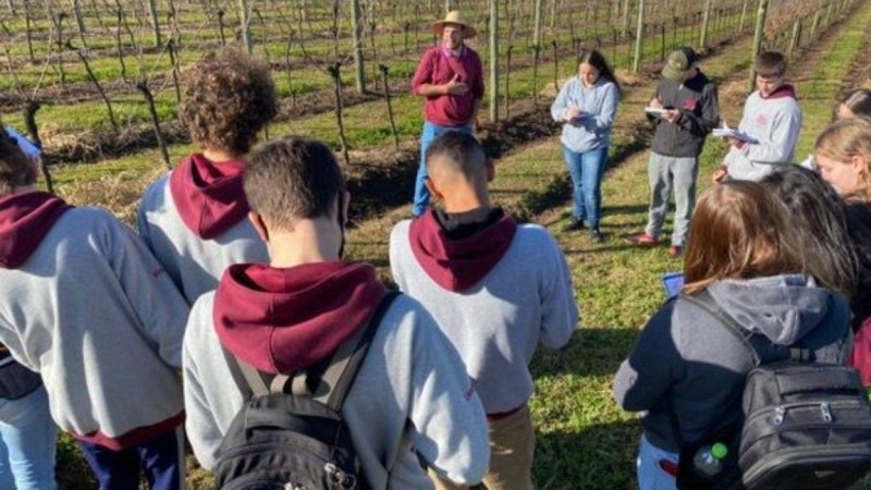 Alunos participam de atividade prática na escola agrícola
