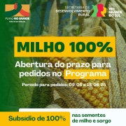 Card Milho 100%